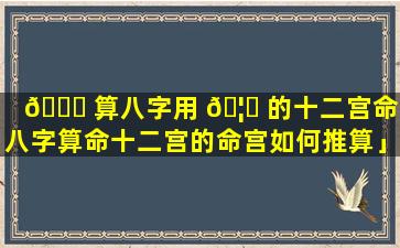 🐟 算八字用 🦈 的十二宫命「八字算命十二宫的命宫如何推算」